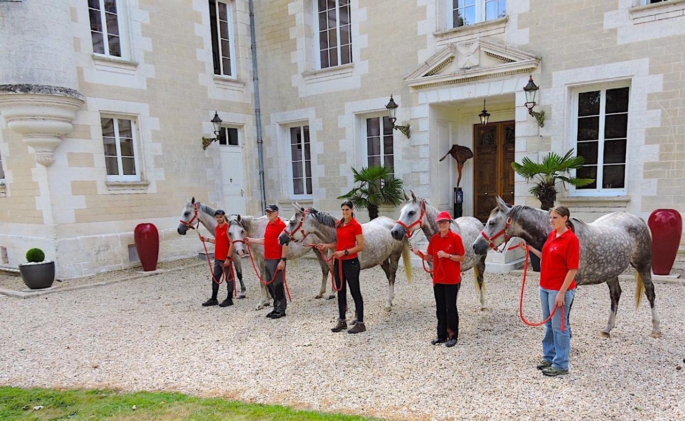Chateau De Bellevue B&B Et Appartements Avec Piscine Saisonal Chauffee Et Chambres Partout Climatisees Saint-Avit  Bagian luar foto